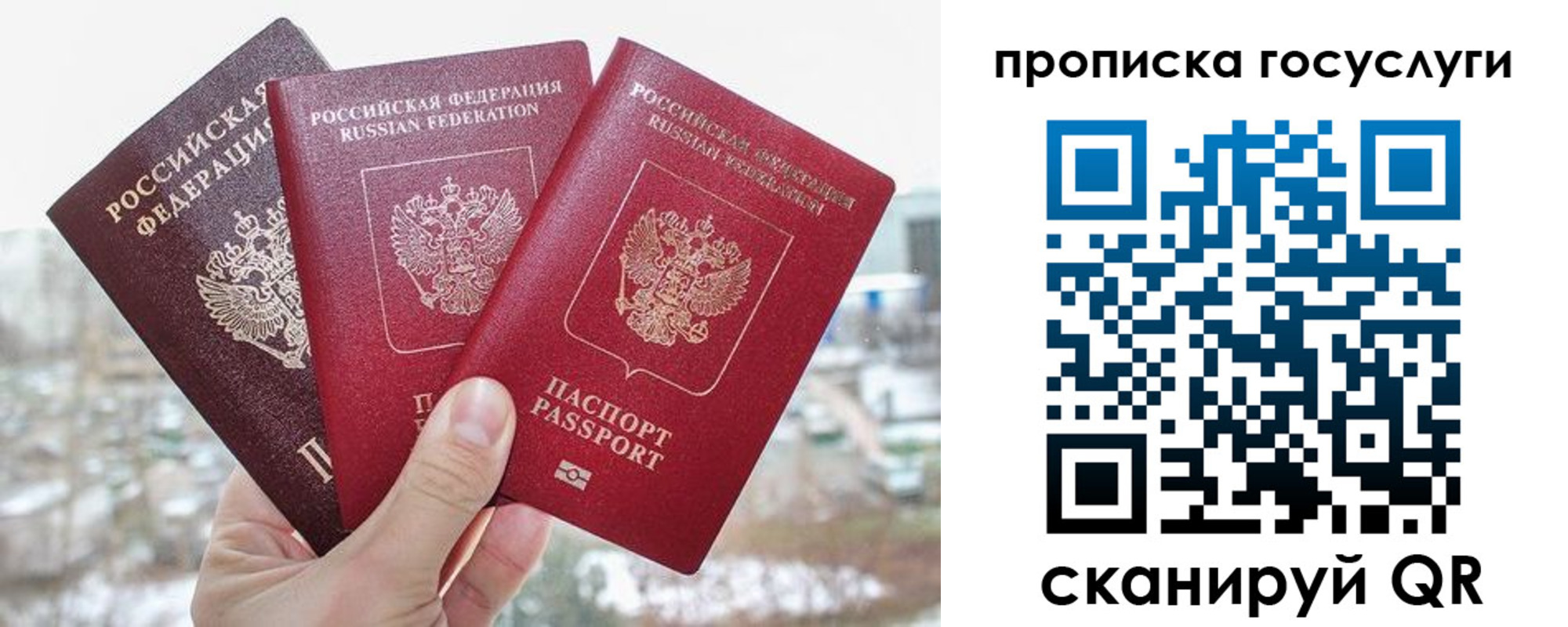 прописка законно в Судогде